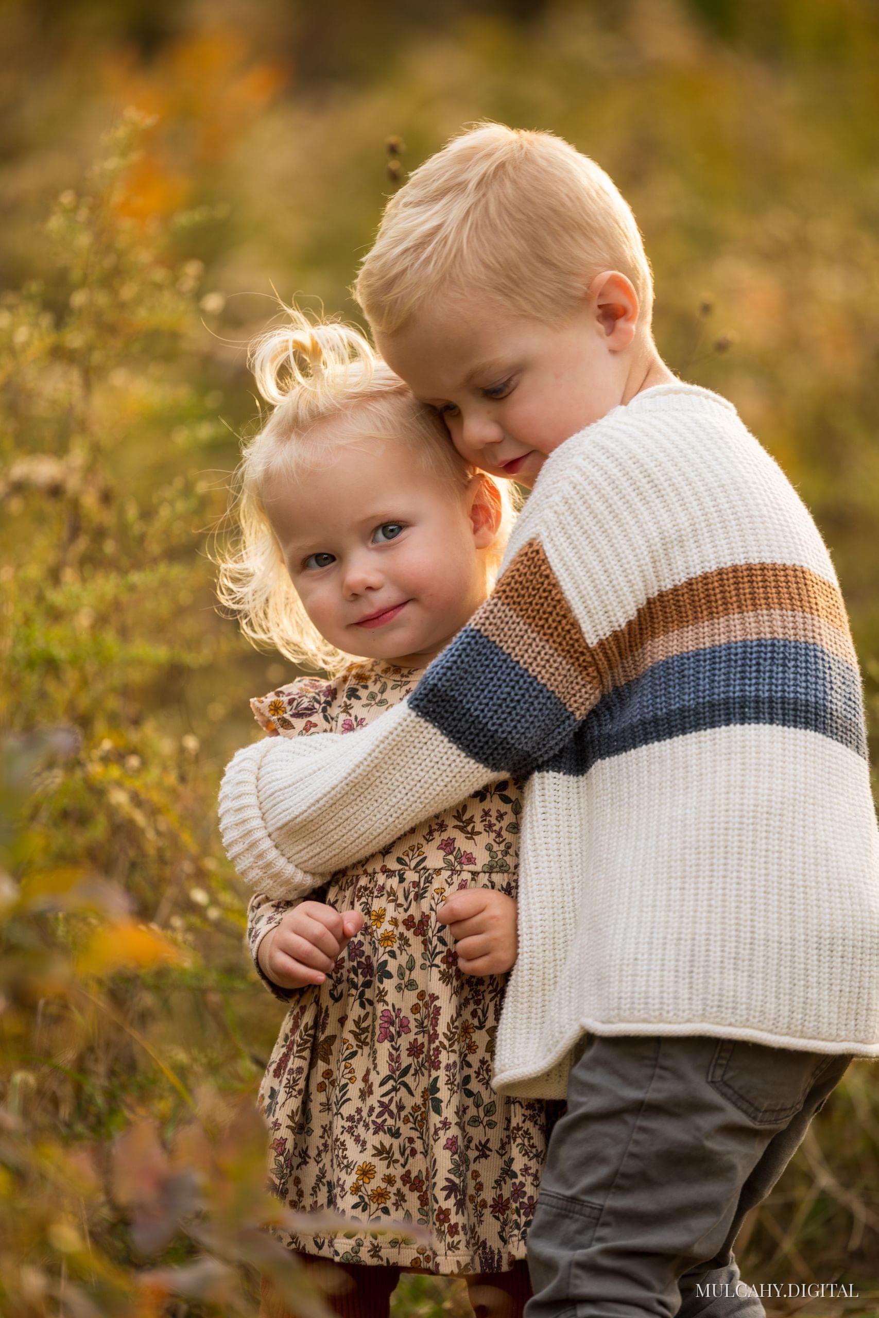 Young boy tenderly hugging his little sister among autumn grasses in golden light