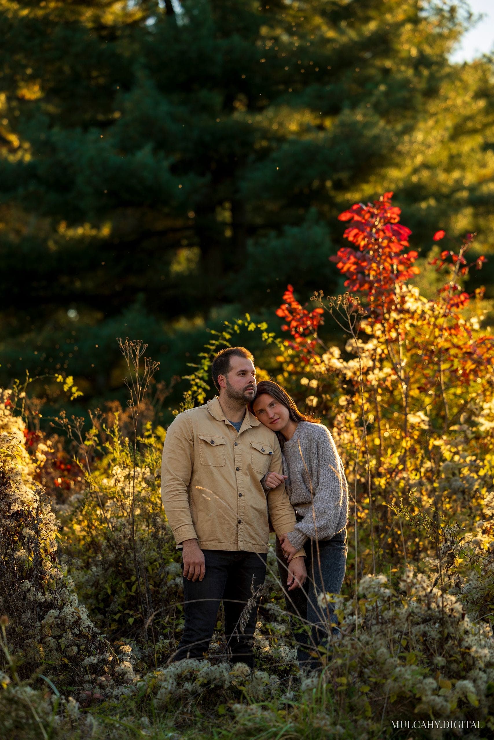Couple standing close together in a golden autumn meadow with a bright red maple behind them
