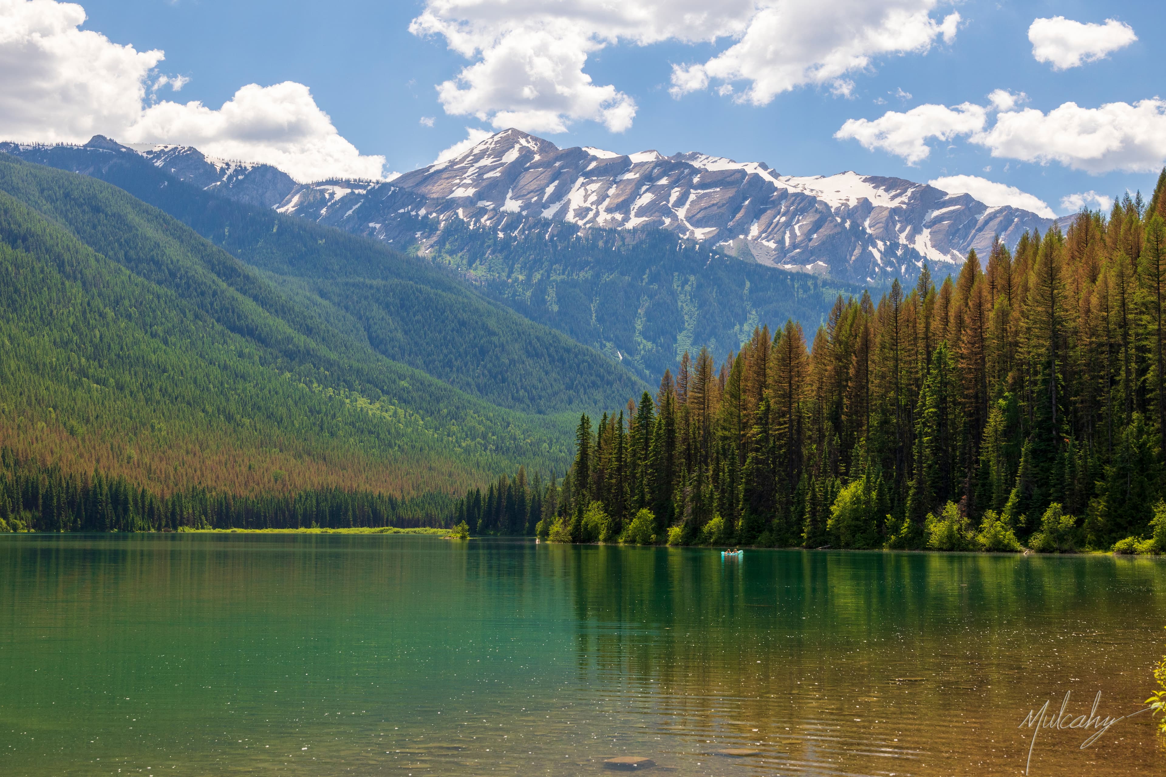 Turquoise lake with snow-capped peaks and pine forest, Glacier NP