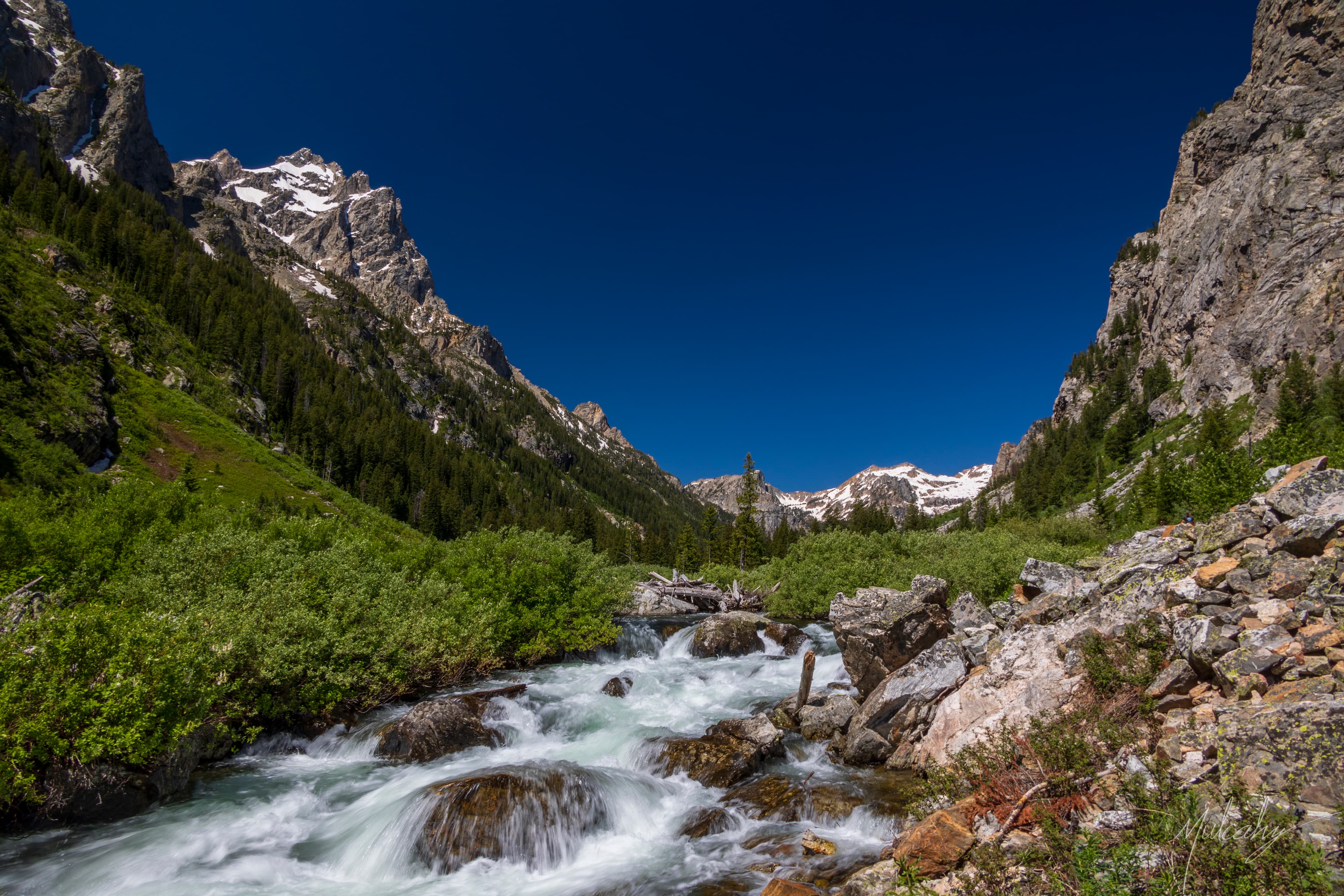 Mountain stream rushing through Cascade Canyon with Teton peaks behind