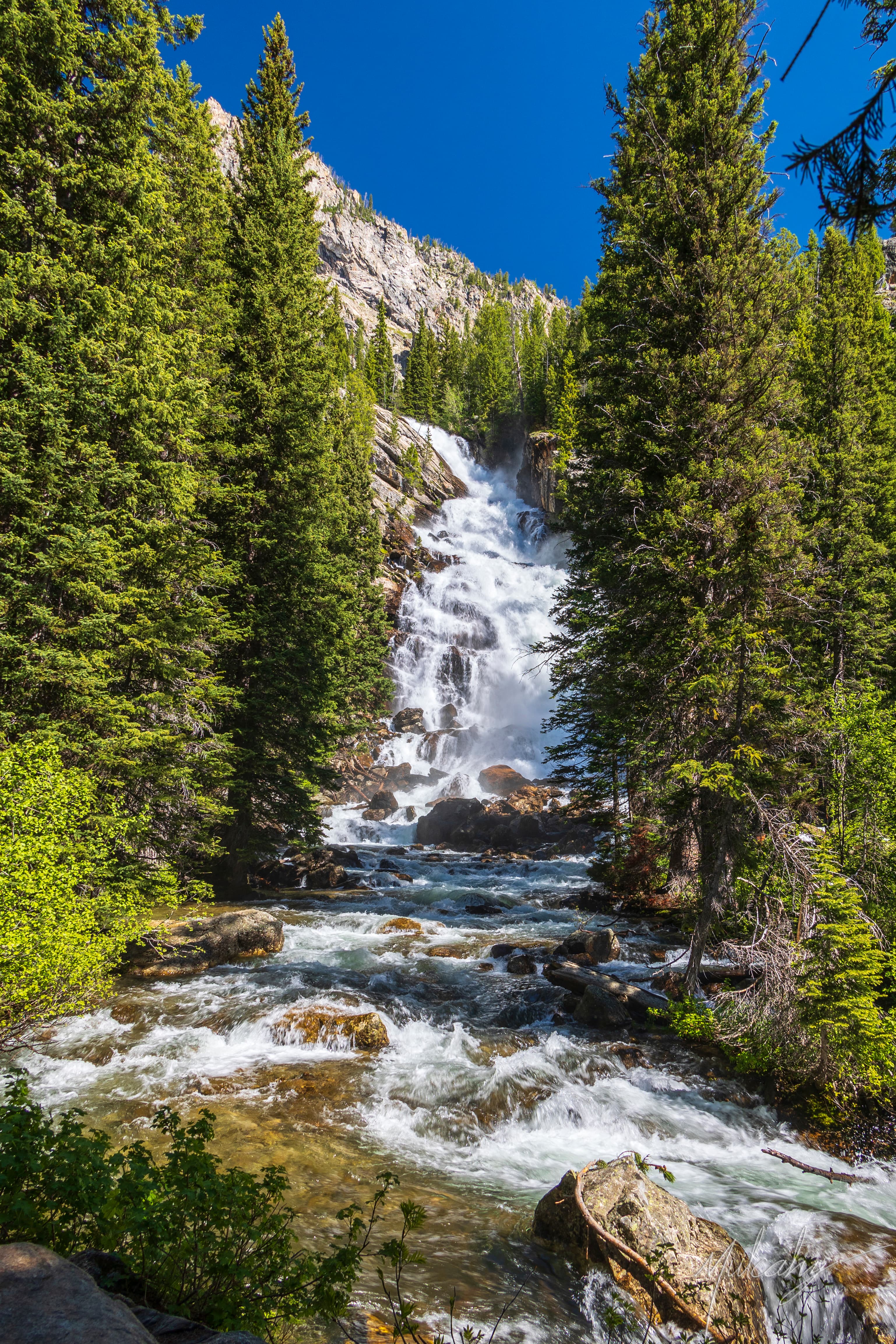 Waterfall cascading into a rushing creek, Grand Teton