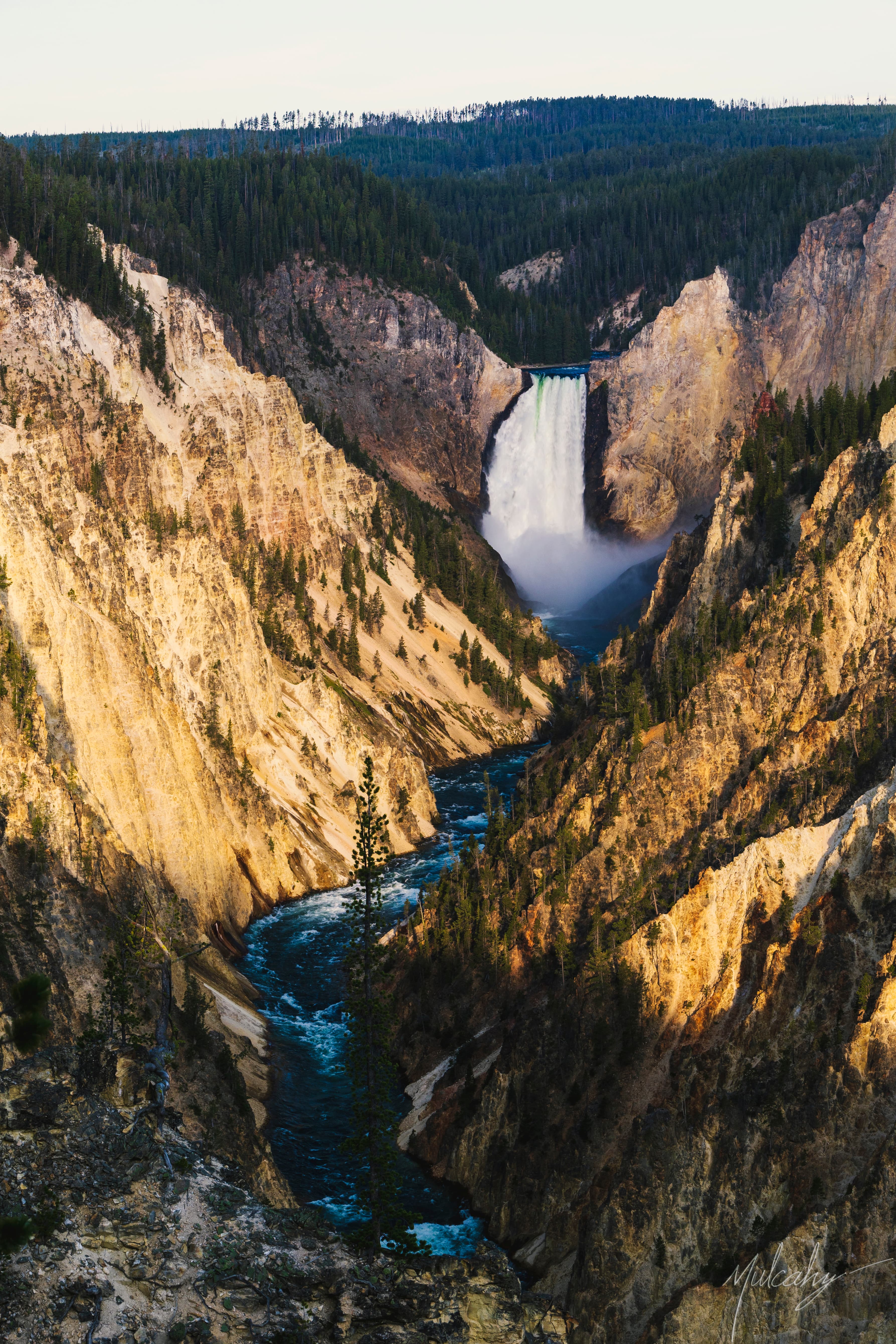 Lower Falls in golden canyon walls, Yellowstone
