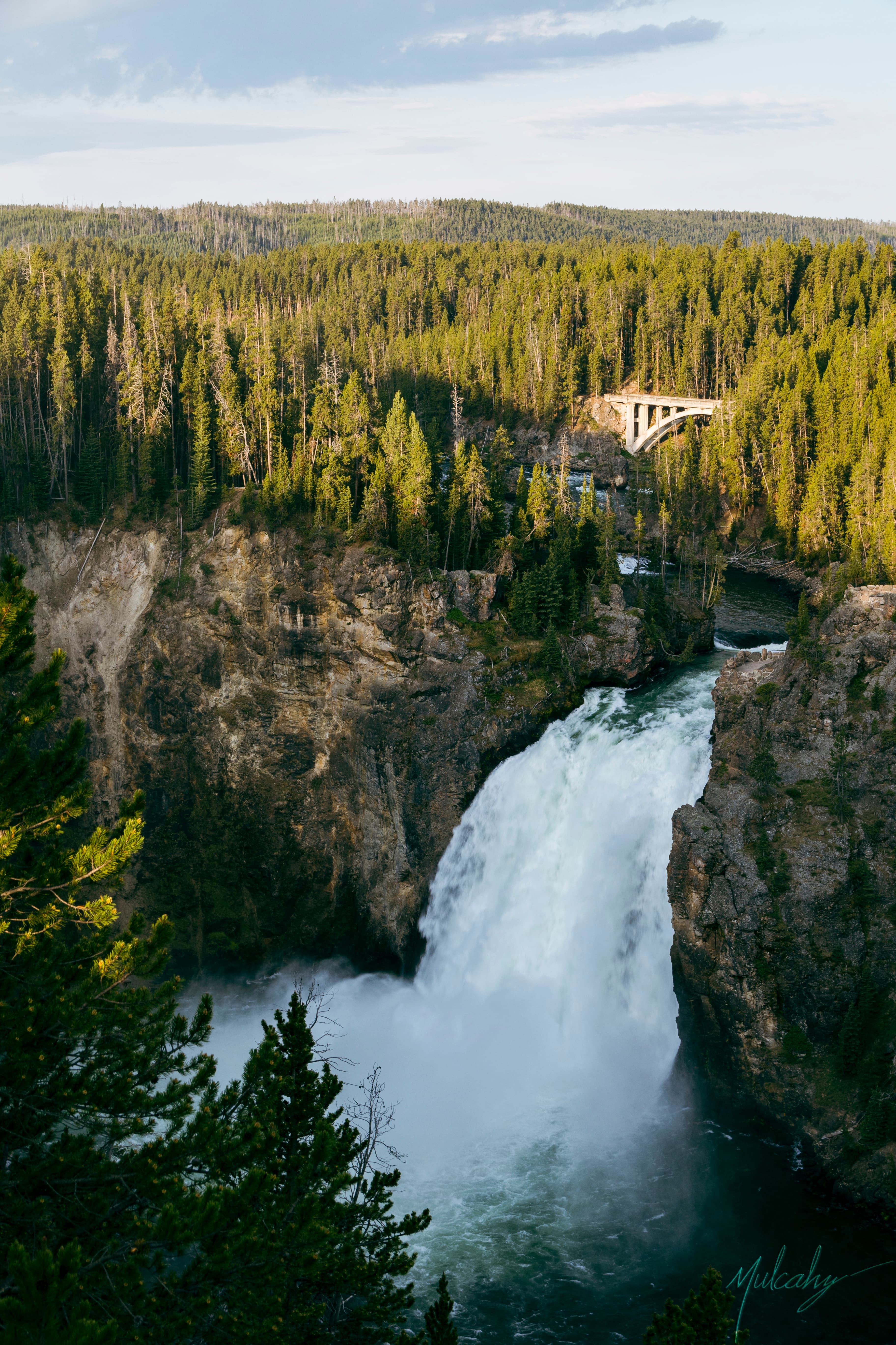 Upper Yellowstone Falls plunging into forested canyon