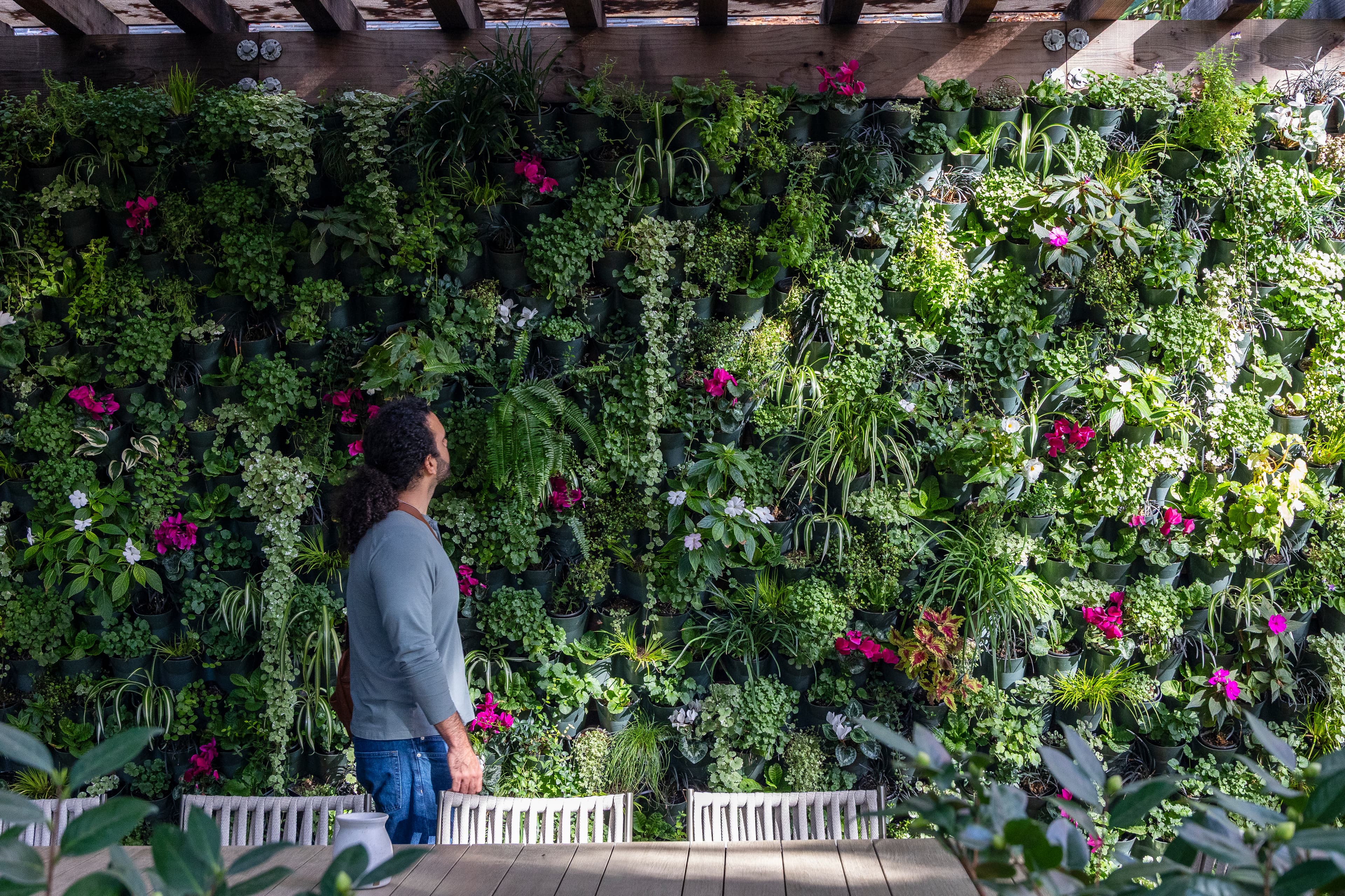 Man gazing up at a lush vertical garden wall